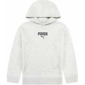 PUMA Boys Youth Fleece Pullover Hoodie Sweatshirt Grey Large 14/16 NWT